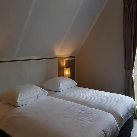 Modern Villa With Garden